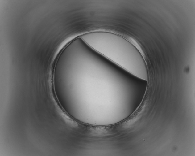 X0000091451149200708161042