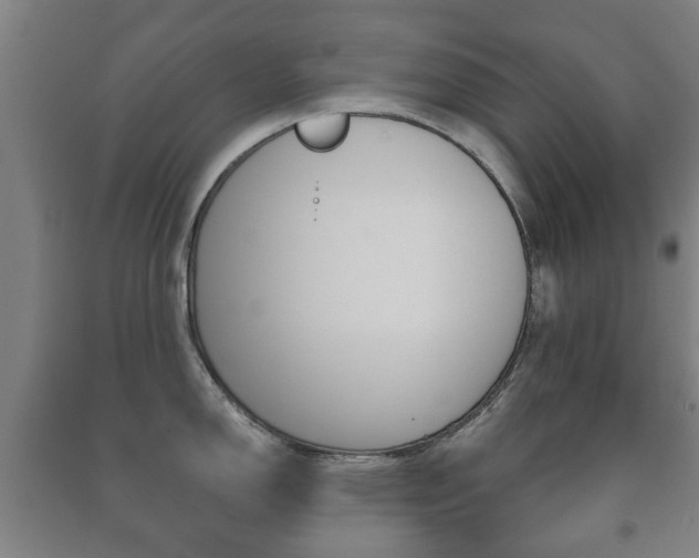 X0000091451150200708161042