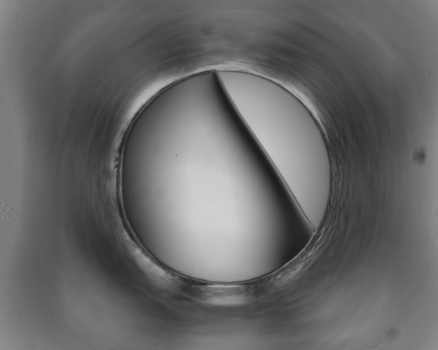 X0000091451151200708161042