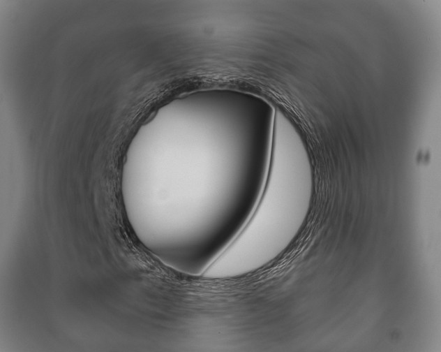 X0000091451153200708161041