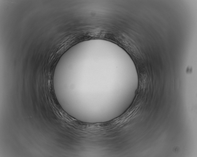 X0000091451154200708161041