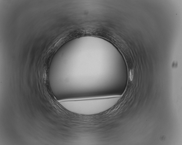 X0000091451155200708161041