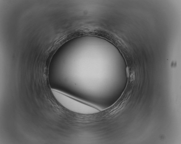X0000091451156200708161041
