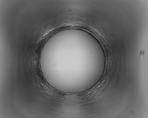X0000091451158200708161041