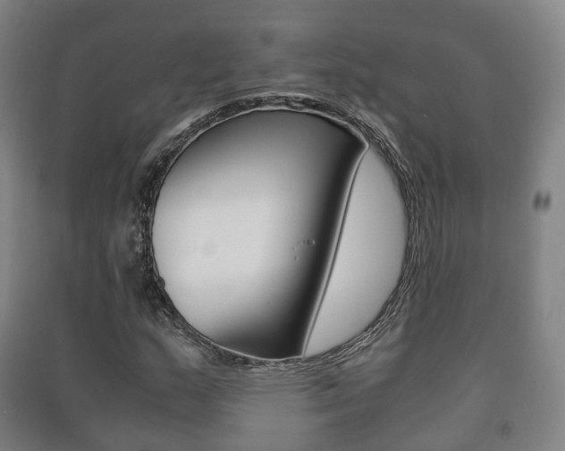 X0000091451159200708161041