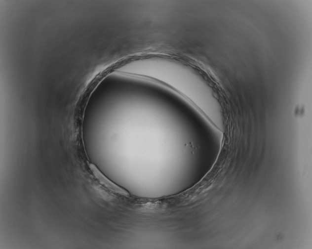 X0000091451160200708161041