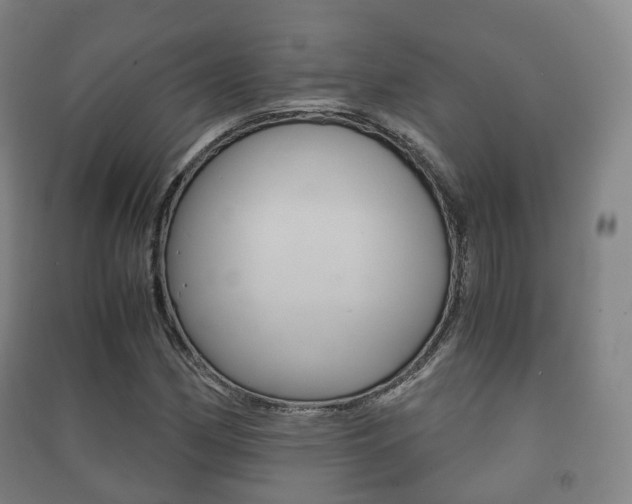 X0000091451162200708161041