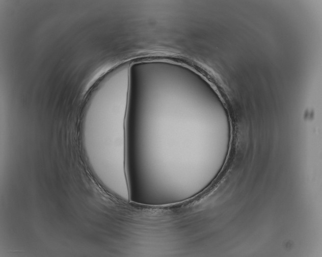 X0000091451163200708161041