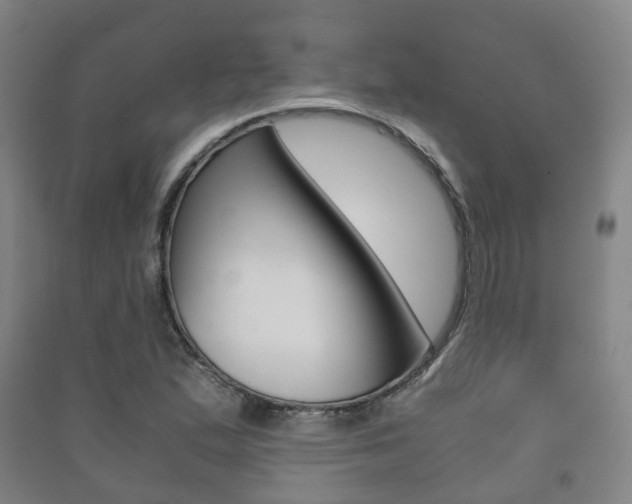X0000091451167200708161041
