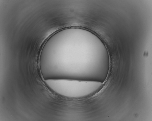 X0000091451170200708161041