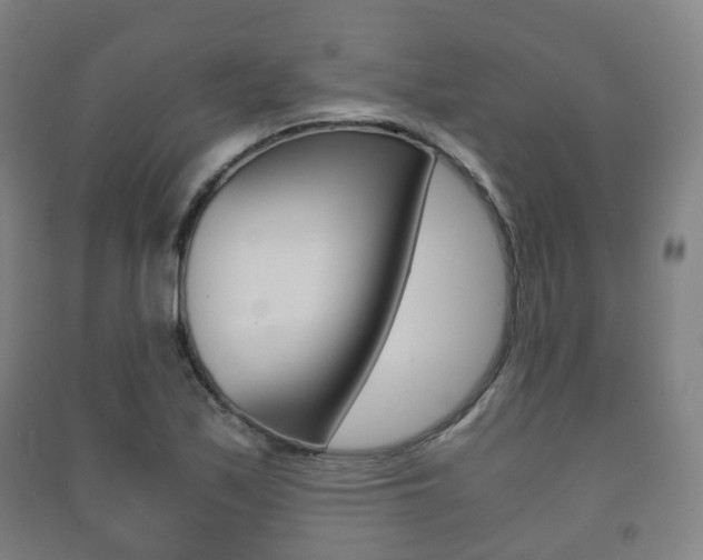 X0000091451171200708161041