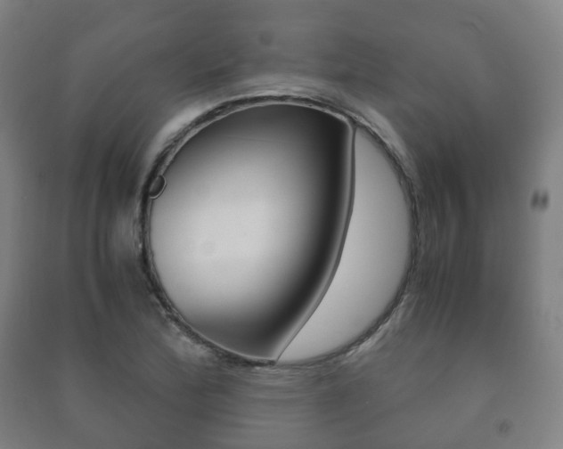X0000091451172200708161041