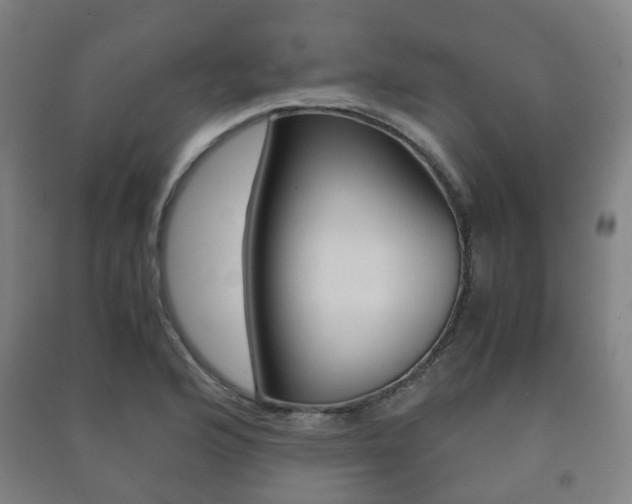 X0000091451176200708161041