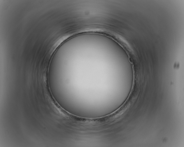X0000091451177200708161041