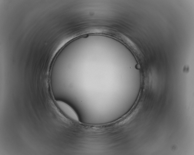 X0000091451178200708161041
