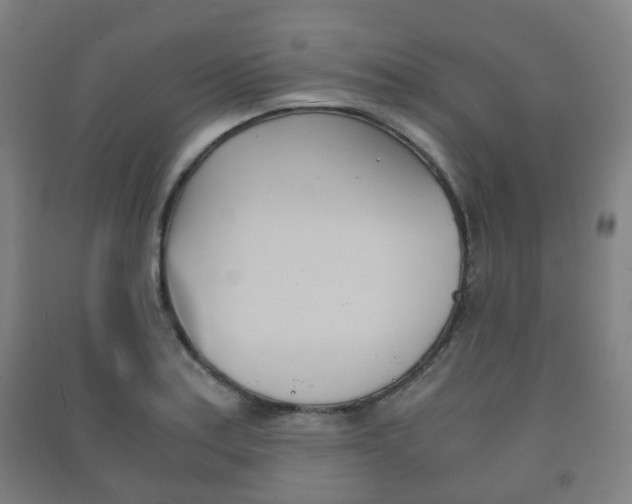 X0000091451179200708161041