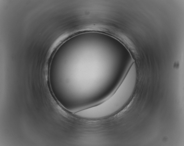 X0000091451180200708161041