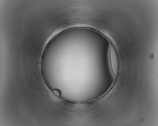 X0000091451181200708161041