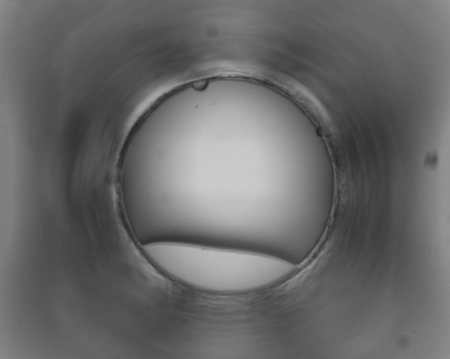X0000091451182200708161041