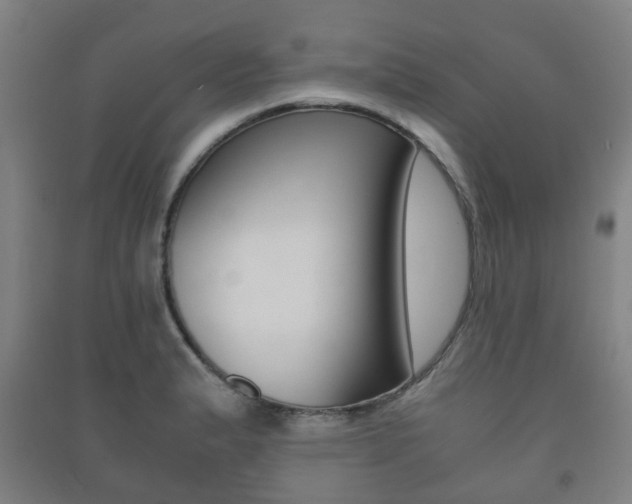 X0000091451183200708161041