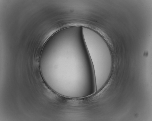 X0000091451185200708161041