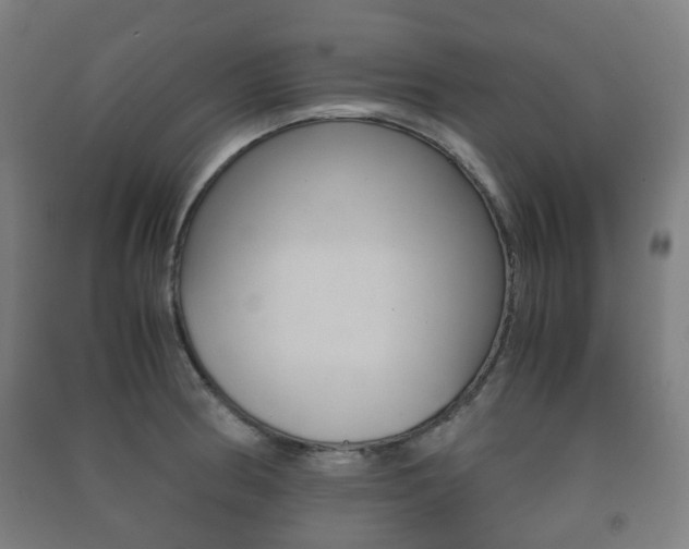 X0000091451186200708161041