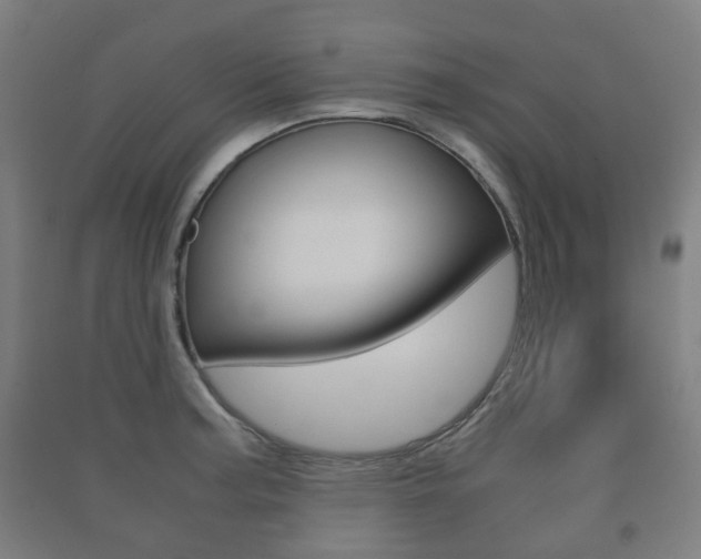 X0000091451187200708161041