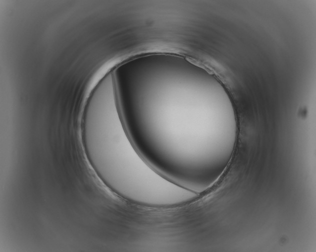 X0000091451188200708161041