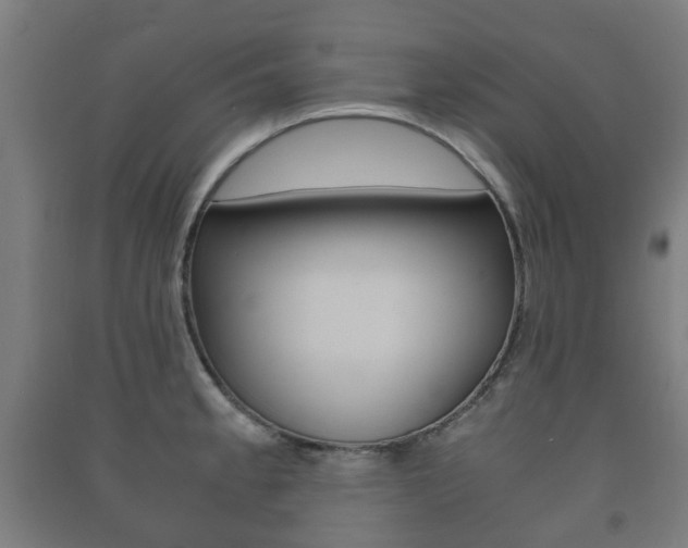 X0000091451189200708161041