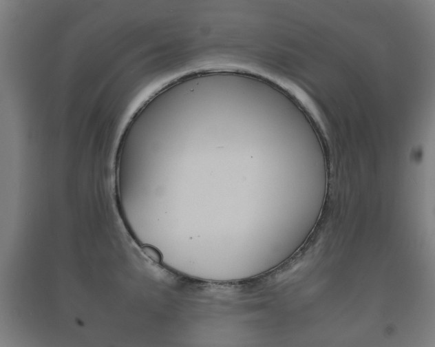 X0000091451191200708161041