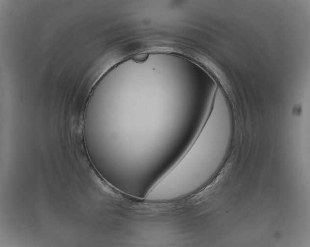 X0000091451193200708161041