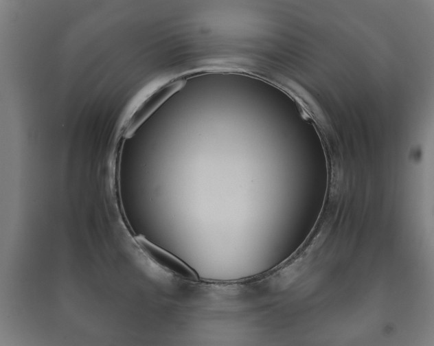 X0000091451196200708161041