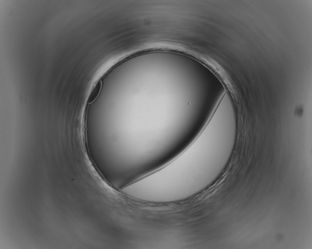 X0000091451199200708161041