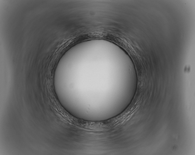 X0000091451201200708161040