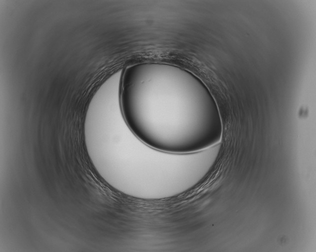 X0000091451202200708161040