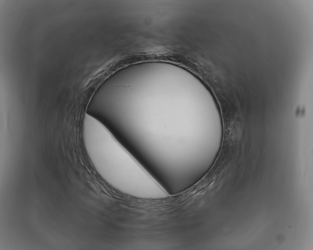X0000091451205200708161040