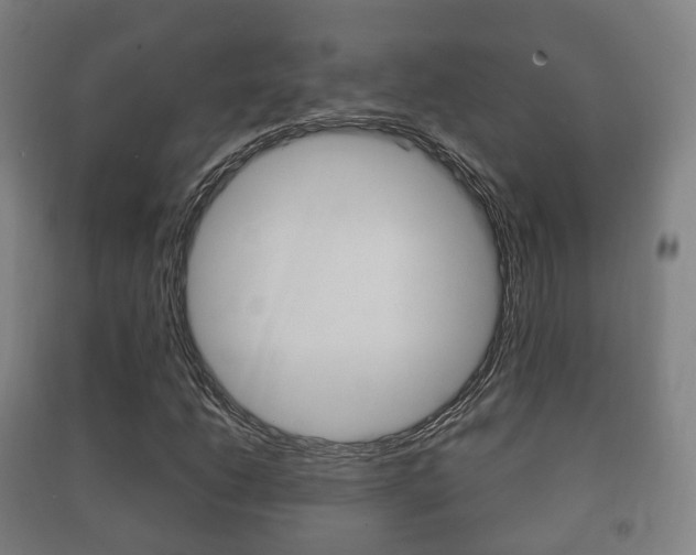 X0000091451206200708161040