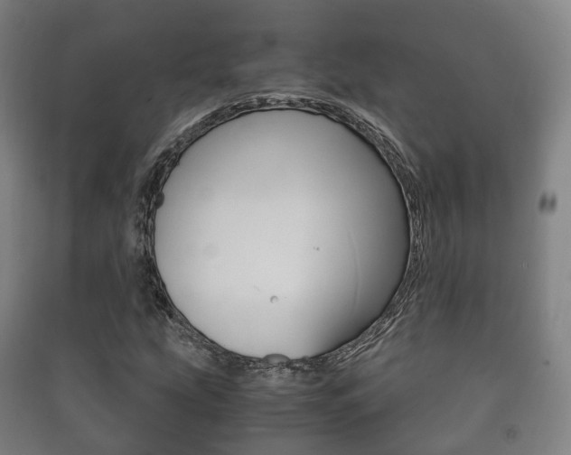 X0000091451207200708161040