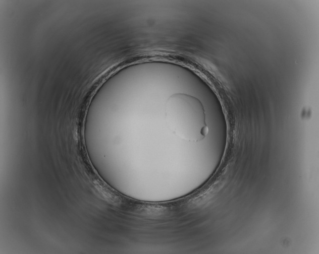 X0000091451209200708161040