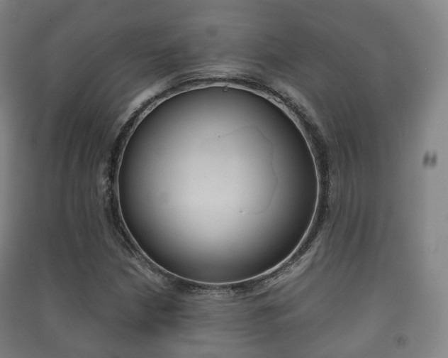 X0000091451210200708161040