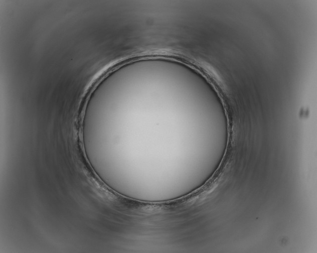 X0000091451212200708161040