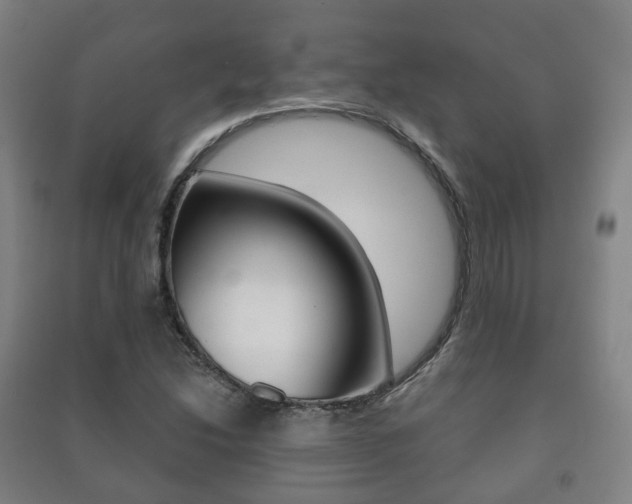X0000091451214200708161040