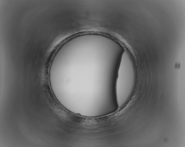 X0000091451215200708161040