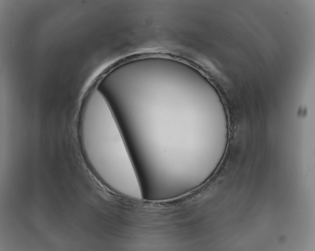 X0000091451216200708161040
