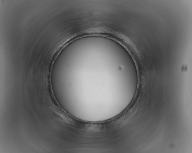 X0000091451217200708161040
