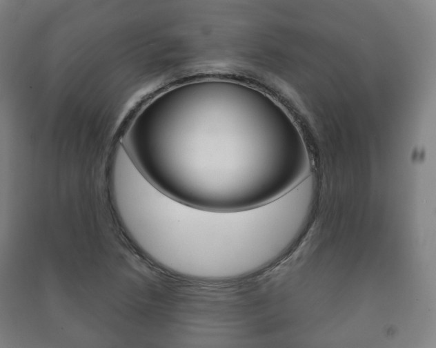 X0000091451218200708161040