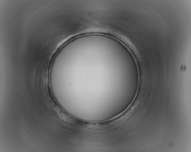 X0000091451220200708161040