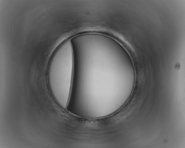 X0000091451221200708161040
