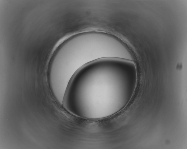 X0000091451222200708161040