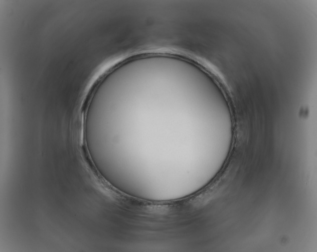 X0000091451223200708161040